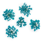 suszone-kwiaty-do-zdobien-paznokci-mollylac-turquise-5szt