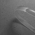 ECO-tipsy-CHICK-CHICK-zdejmowane-osobno-przezroczyste-50-szt_[2773]_1200